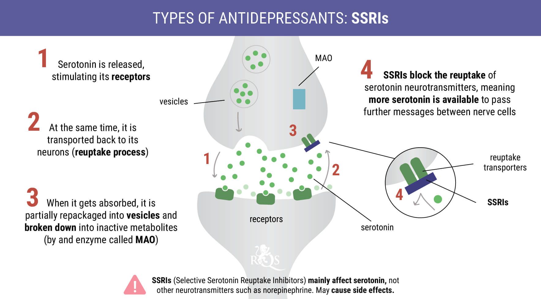 How Cannabis Interacts With Antidepressants RQS Blog